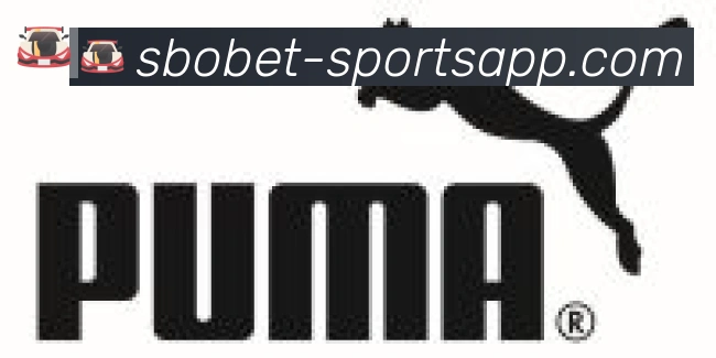 利记sbobet体育合作伙伴
